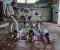 Sport and fun instead of war and fear