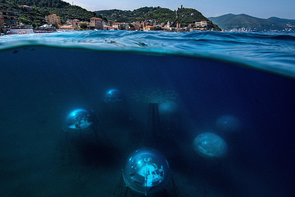 «Сад Немо» Nemo's Garden