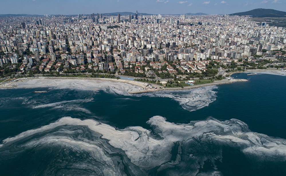 Meet the sea snot as global warming has given us