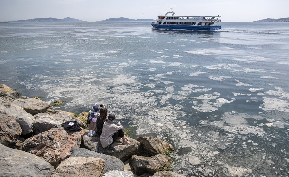 Meet the sea snot as global warming has given us