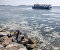 Meet the sea snot as global warming has given us