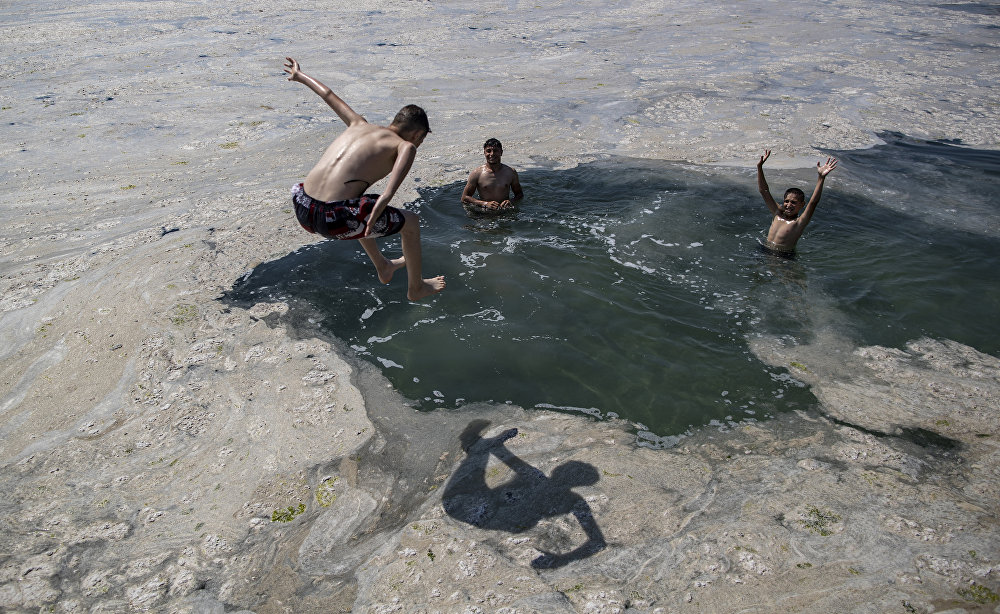 Meet the sea snot as global warming has given us