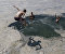 Meet the sea snot as global warming has given us
