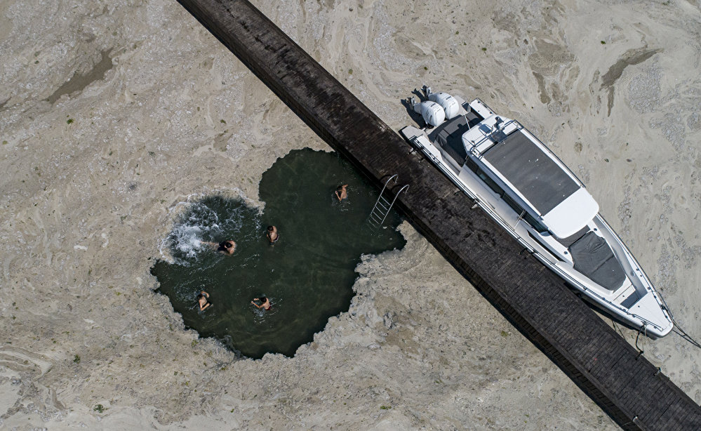 Meet the sea snot as global warming has given us