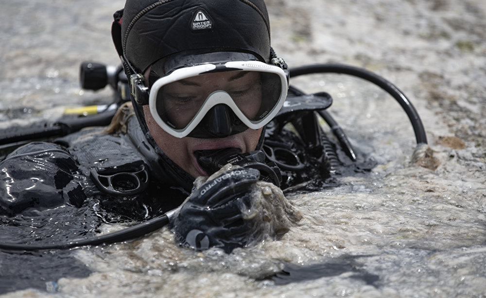 Meet the sea snot as global warming has given us