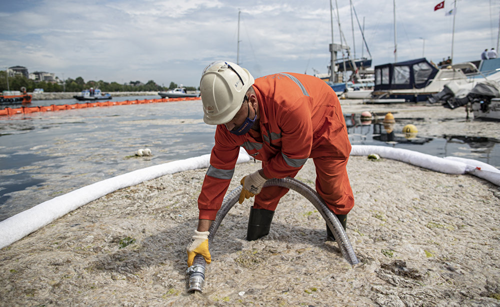 Meet the sea snot as global warming has given us