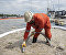 Meet the sea snot as global warming has given us