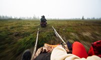 Children of the arctic