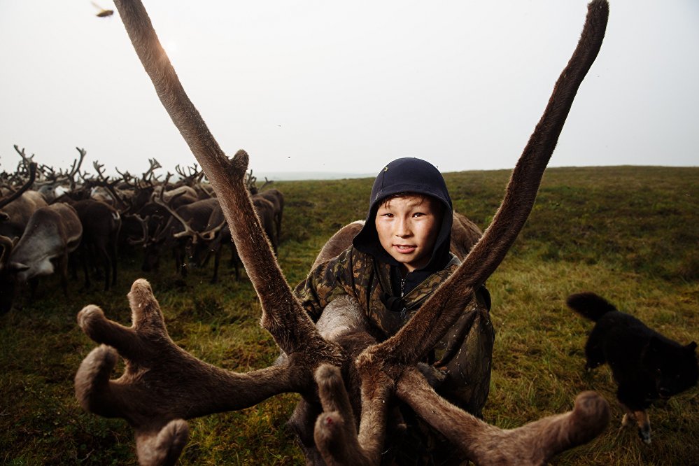 Children of the arctic