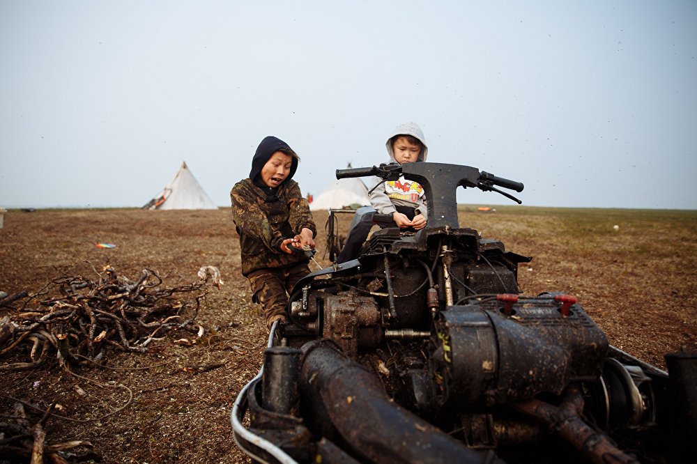 Children of the arctic