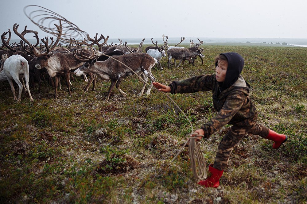 Children of the arctic