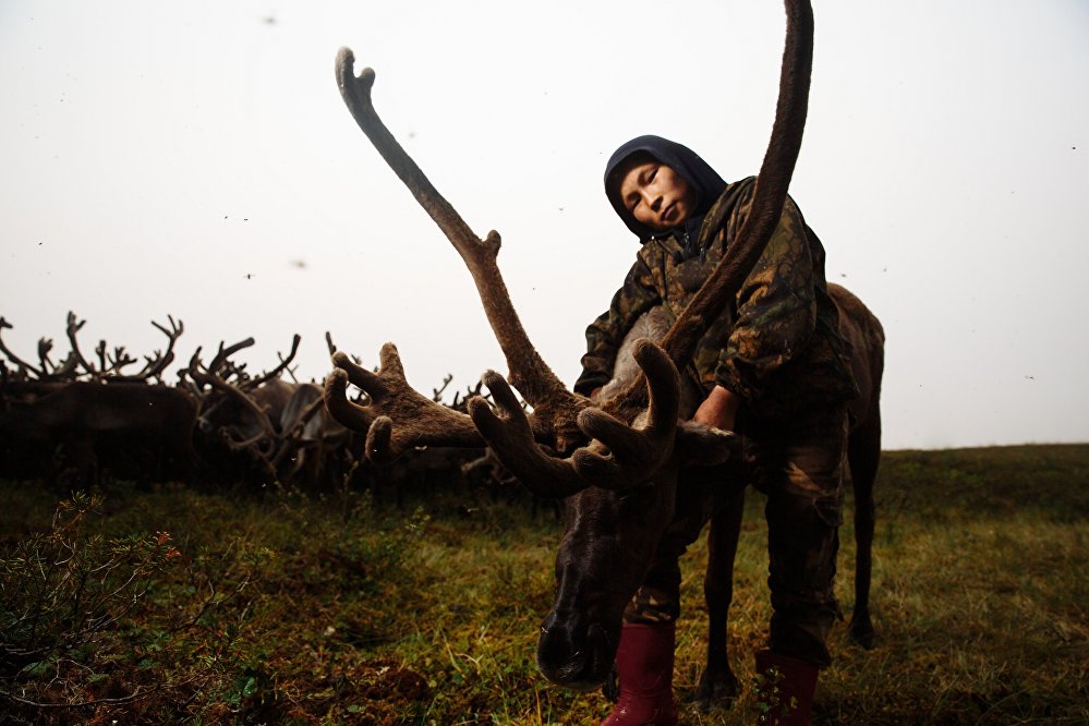 Children of the arctic
