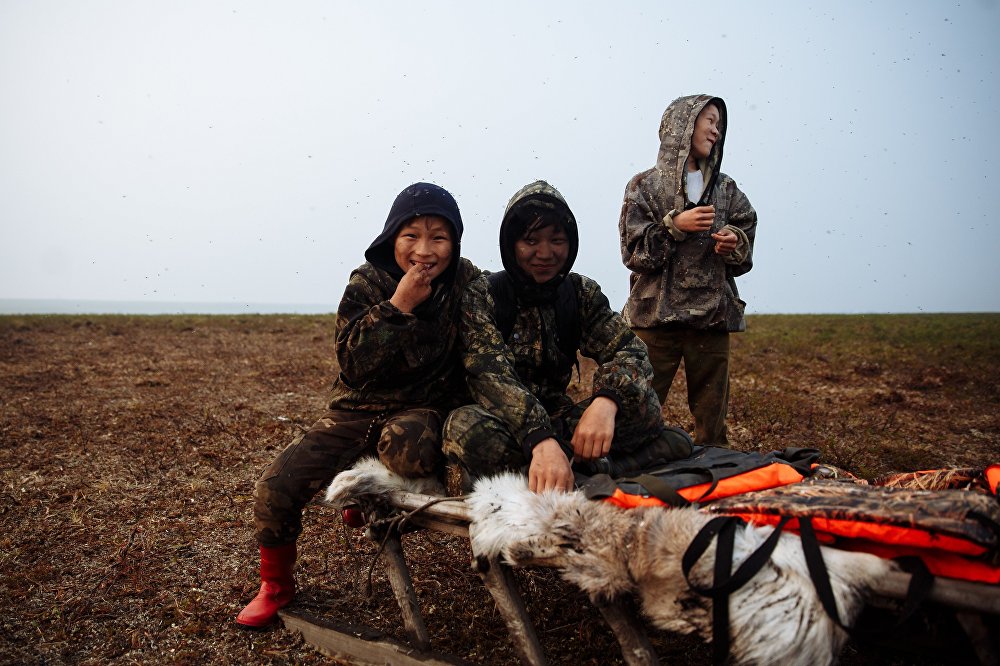 Children of the arctic