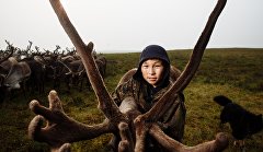 Children of the arctic