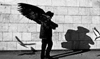 Imago