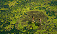 Fishing in Mossy river