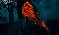 Fire and ashes