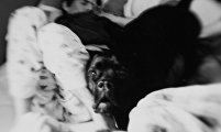 Lilou, an inside view of autism 